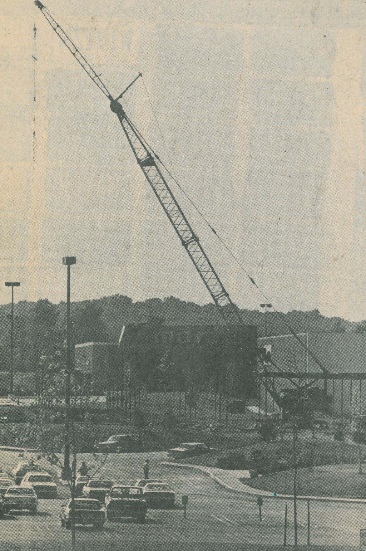8. Sears opens